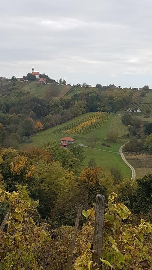 Kuca Za Odmor Nina Sveti Martin Na Muri Exterior photo